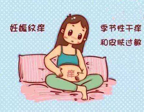 广州捐卵助孕价格，广州供卵试管婴儿价格多少