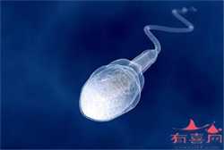 广州借卵子移植失败，哺乳期三个月刮痧拔罐来月经正常吗