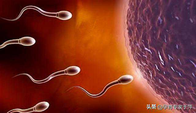 广州代生孩子花费，于萍讲孕育：3年多囊卵巢综合征，32岁怀上双胞胎