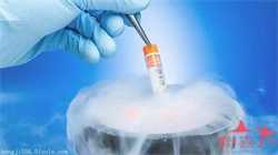 广州有几家医院可以供卵，试管婴儿：子宫腺肌症怀孕的方法？
