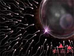 广州借卵代怀价格，5项准备工作，助你成功受孕