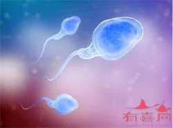 广州供卵过程~广州哪里供卵选性别~，【2岁宝宝食谱】2岁半宝宝一日三餐食谱