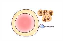 广州借卵合法吗~广州借卵自怀价格~，孕妇肚皮凹是女孩吗 生男生女有科学检测方法