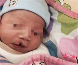 哈尔滨捐卵包生，2019年哈尔滨新生儿医保缴费标准