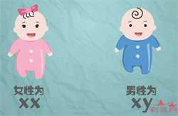 天津借卵生子的风险,2022天津供(借)卵试管婴儿费用明细一览！内附详细流程步