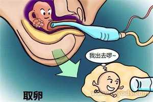 <b>上海助孕爸爸，「上海助孕服务网」上海助孕官网</b>
