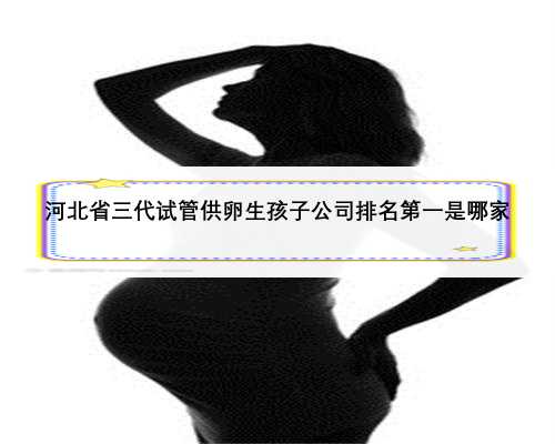 河北省三代试管供卵生孩子公司排名第一是哪家